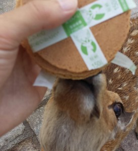 シカせんべい　奈良公園